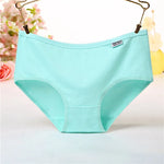 Plus Size Women's Panties Cotton Briefs