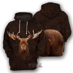 Animals 3D Graphic Front Back Men Hoodies